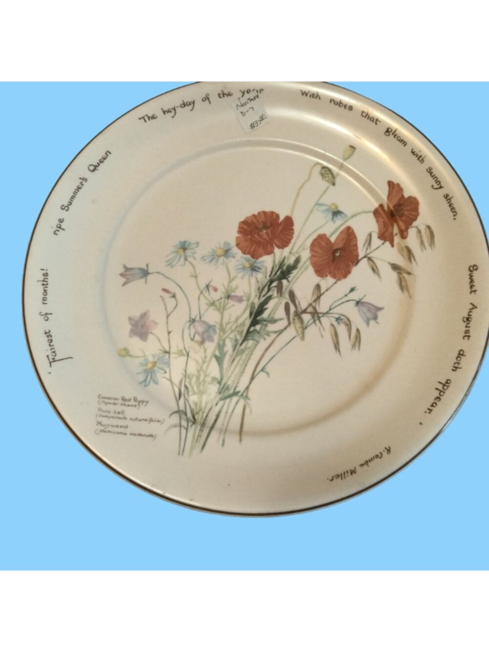 Noritake of Ireland Country Diary of An Edwardian - Picture 14 of 14
